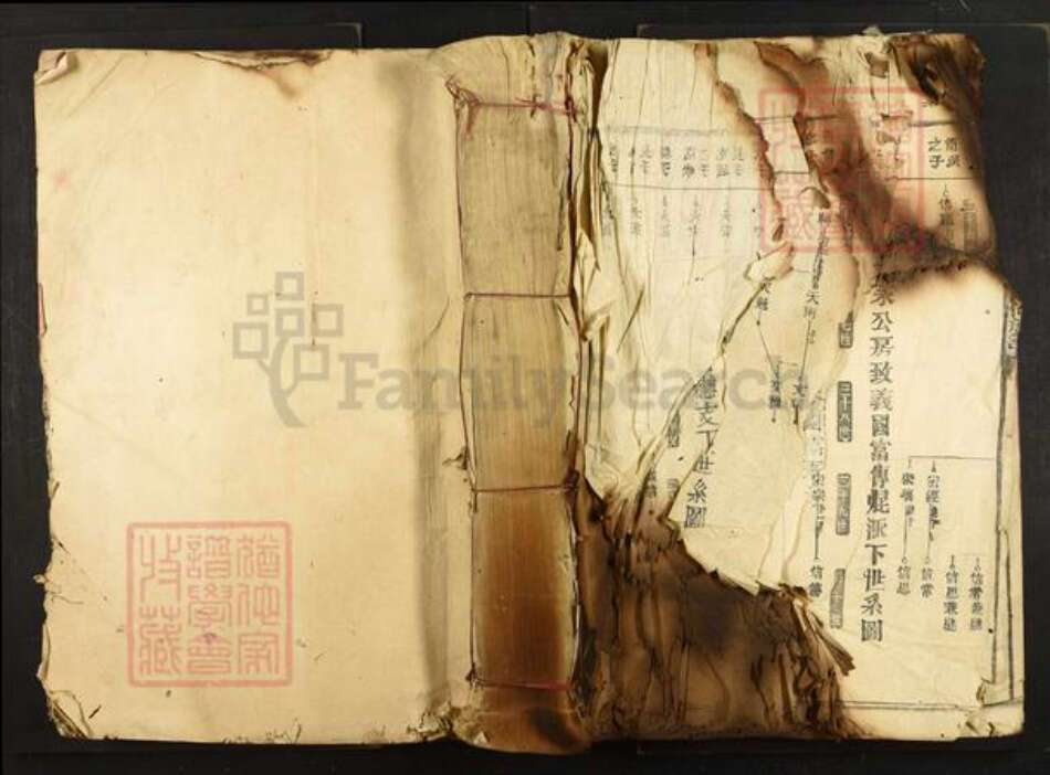 江西省抚州市广昌县头陂镇符氏族谱-横田举林池富符氏三族合修族谱.pdf电子版缩略图