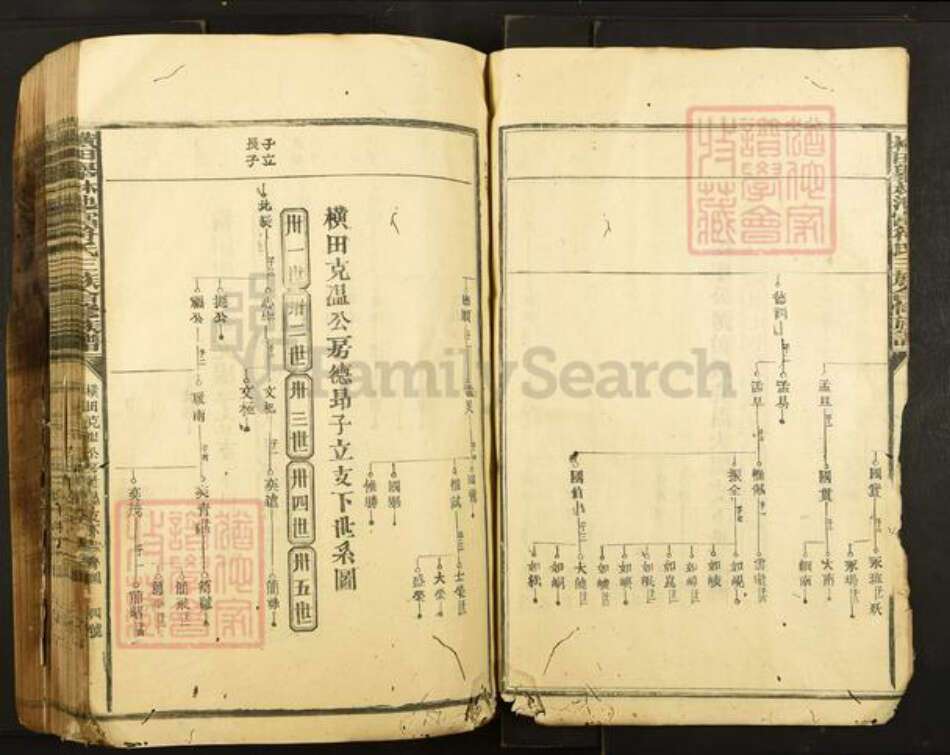 江西省抚州市广昌县头陂镇符氏族谱-横田举林池富符氏三族合修族谱.pdf电子版预览图4