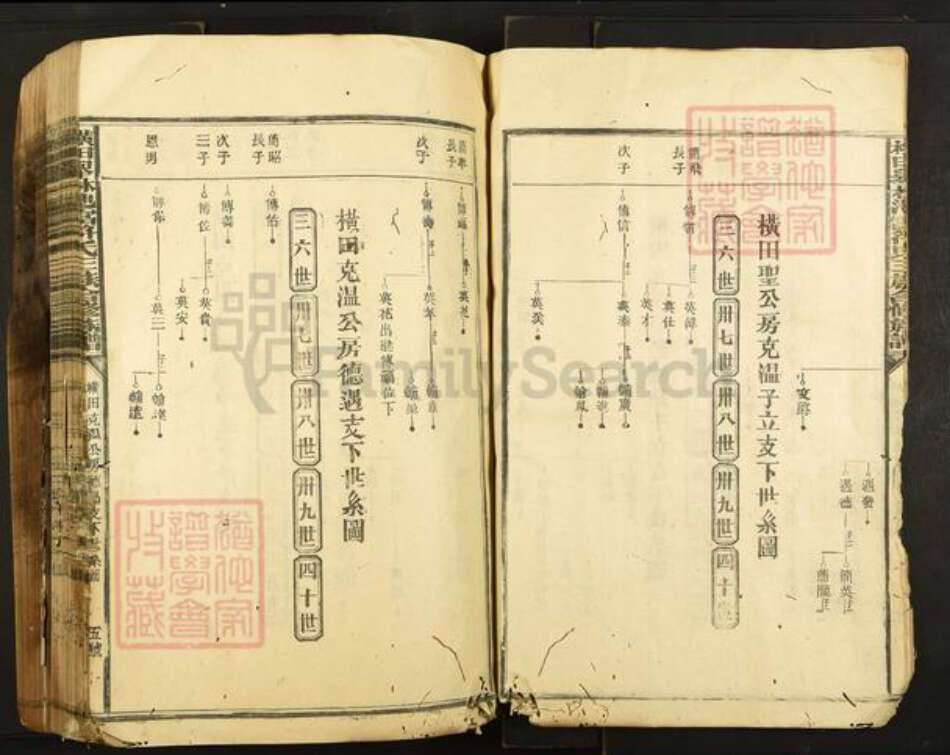 江西省抚州市广昌县头陂镇符氏族谱-横田举林池富符氏三族合修族谱.pdf电子版预览图5