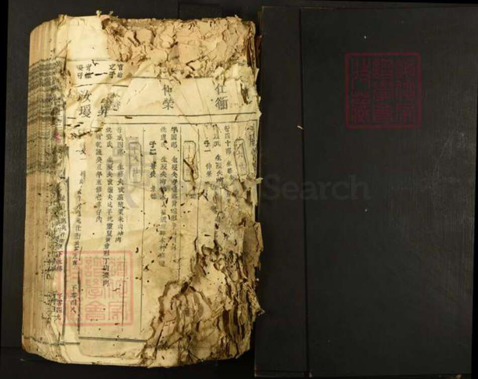 江西省符氏族谱-横田举林池富符氏三族合修族谱.pdf电子版预览图1