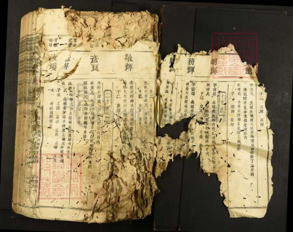 江西省符氏族谱-横田举林池富符氏三族合修族谱.pdf电子版预览图2