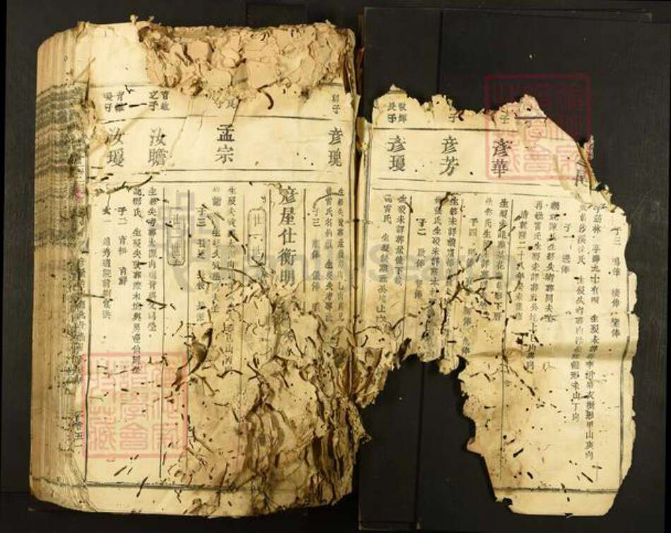 江西省符氏族谱-横田举林池富符氏三族合修族谱.pdf电子版预览图3