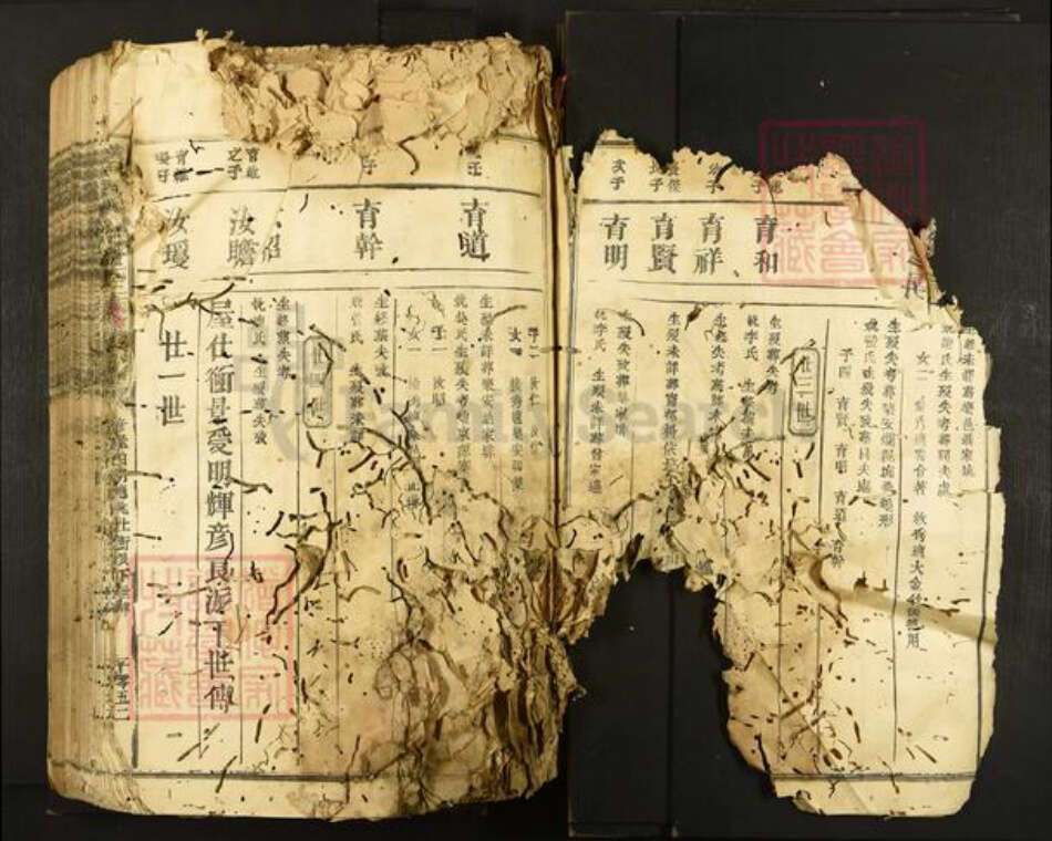 江西省符氏族谱-横田举林池富符氏三族合修族谱.pdf电子版预览图4