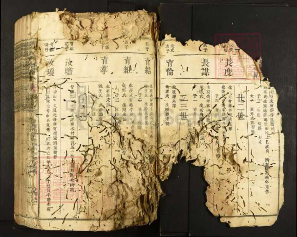 江西省符氏族谱-横田举林池富符氏三族合修族谱.pdf电子版预览图5