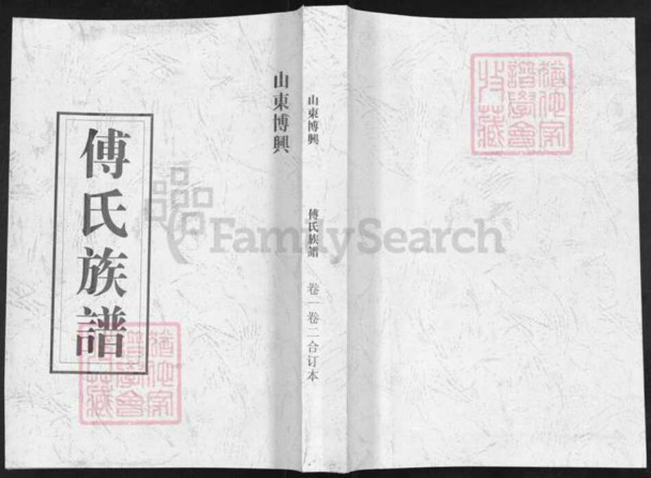 山东省滨州市博兴县傅氏族谱-山东傅兴傅氏族谱.pdf电子版缩略图