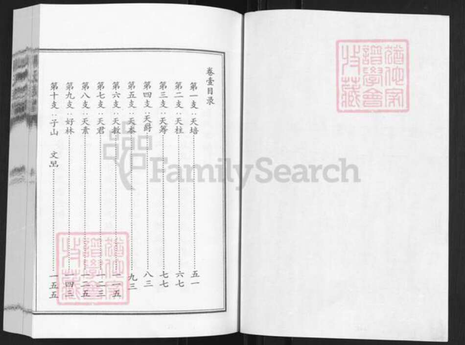 山东省滨州市博兴县傅氏族谱-山东傅兴傅氏族谱.pdf电子版预览图1