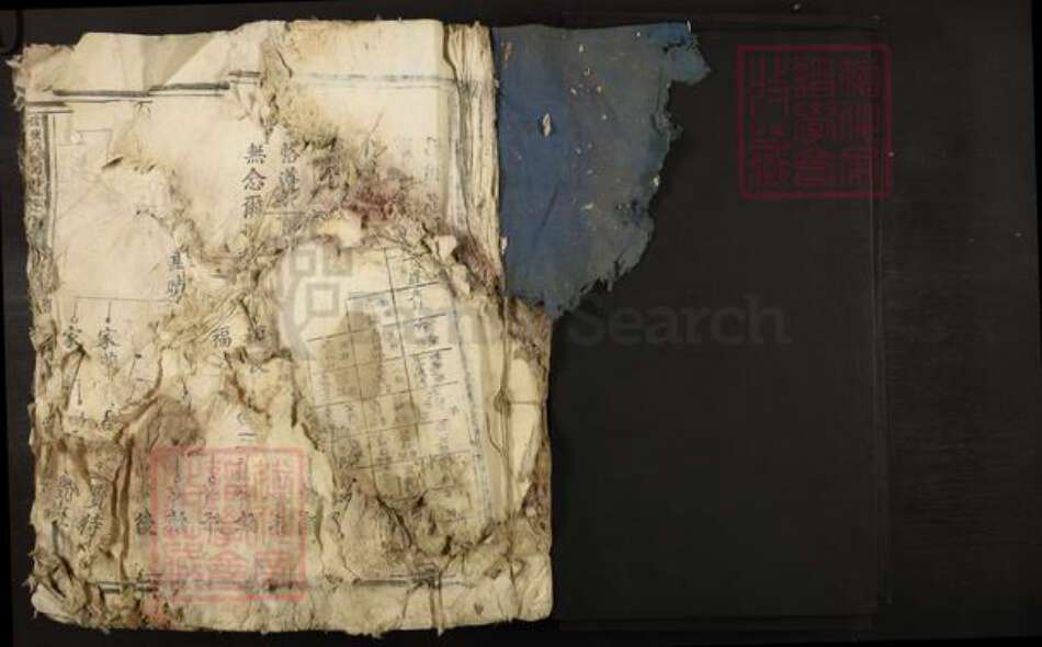 江西省赣州市信丰县傅氏族谱-信丰傅氏四修族谱.pdf电子版预览图1