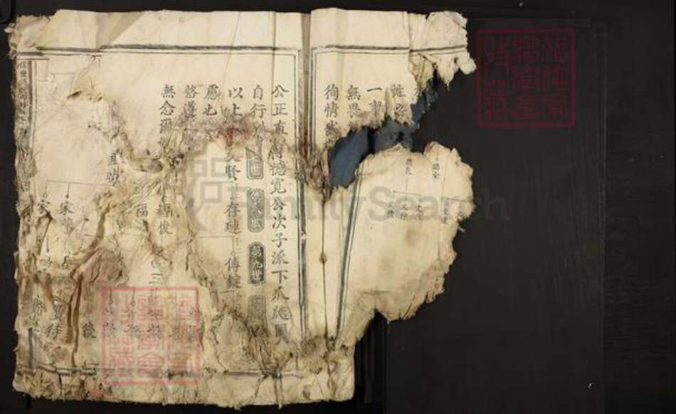 江西省赣州市信丰县傅氏族谱-信丰傅氏四修族谱.pdf电子版预览图2