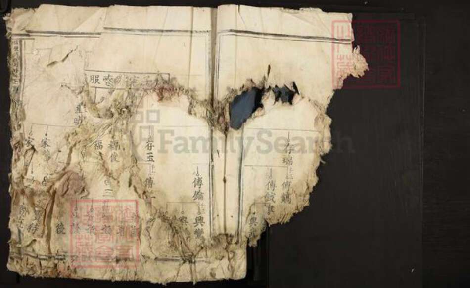 江西省赣州市信丰县傅氏族谱-信丰傅氏四修族谱.pdf电子版预览图3