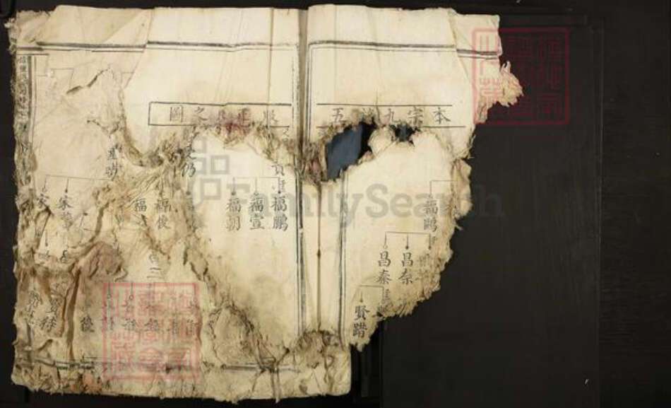 江西省赣州市信丰县傅氏族谱-信丰傅氏四修族谱.pdf电子版预览图4