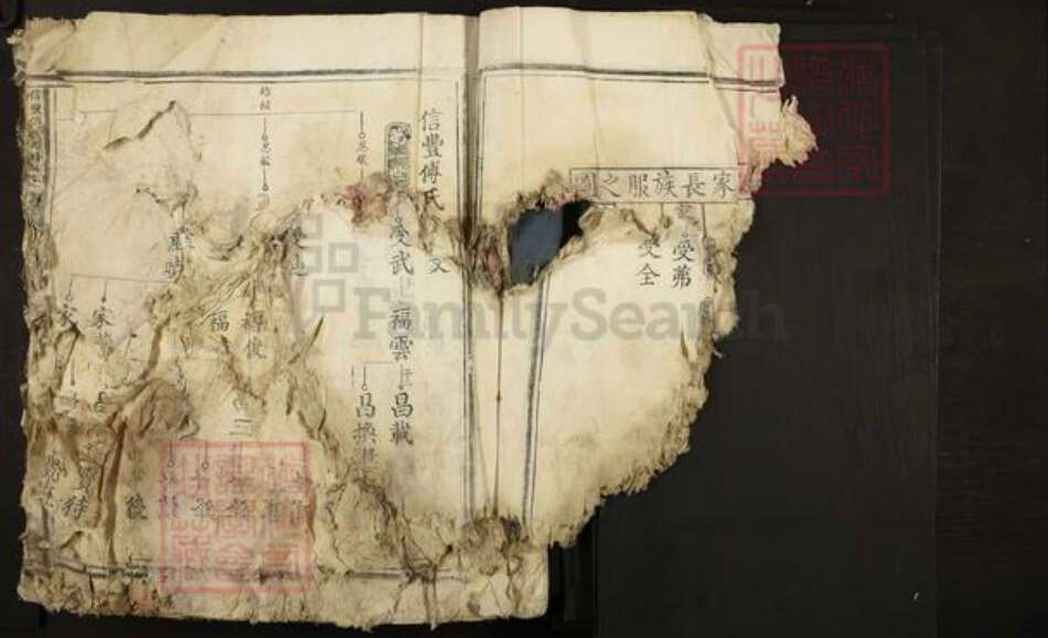 江西省赣州市信丰县傅氏族谱-信丰傅氏四修族谱.pdf电子版预览图5