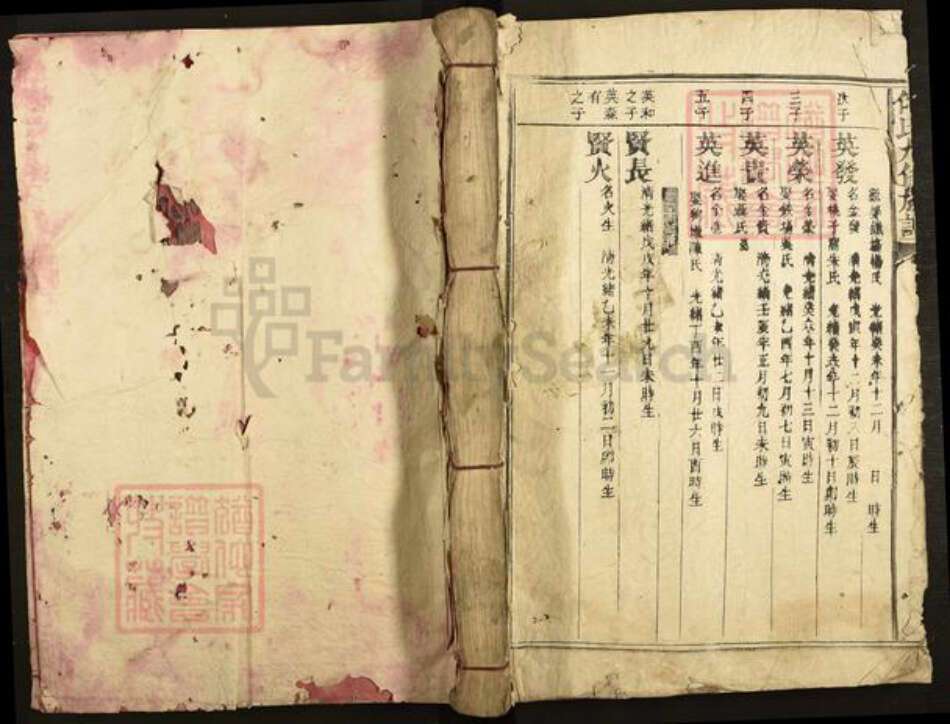 福建省三明市建宁县均口镇傅氏族谱-傅氏九修族谱.pdf电子版缩略图