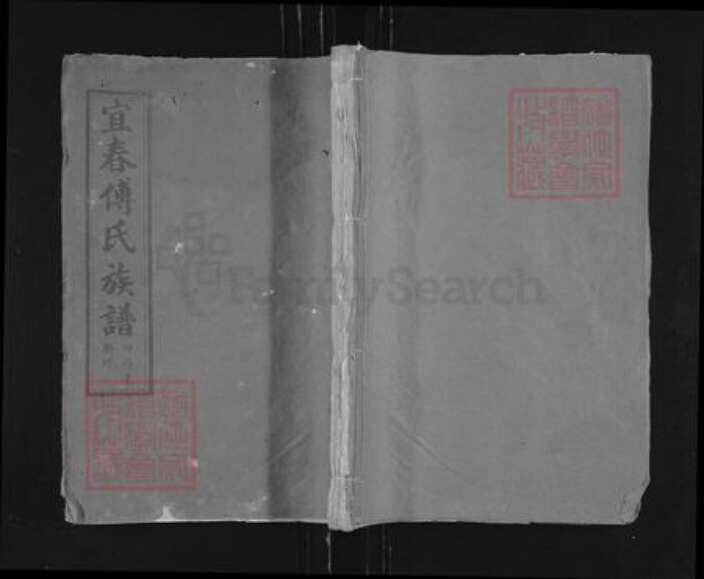 江西省宜春市傅氏清河堂族谱-宜春傅氏族谱.pdf电子版缩略图