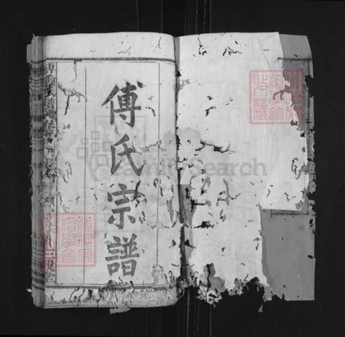 湖北省黄冈市麻城市龟山镇傅氏三说堂族谱-傅氏族谱.pdf电子版预览图1