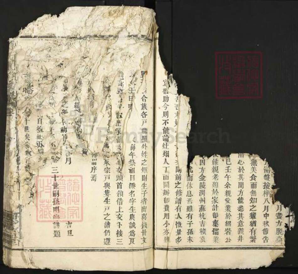 江西省宜春市樟树市中洲乡傅氏思古堂族谱-傅氏重修族谱.pdf电子版预览图5