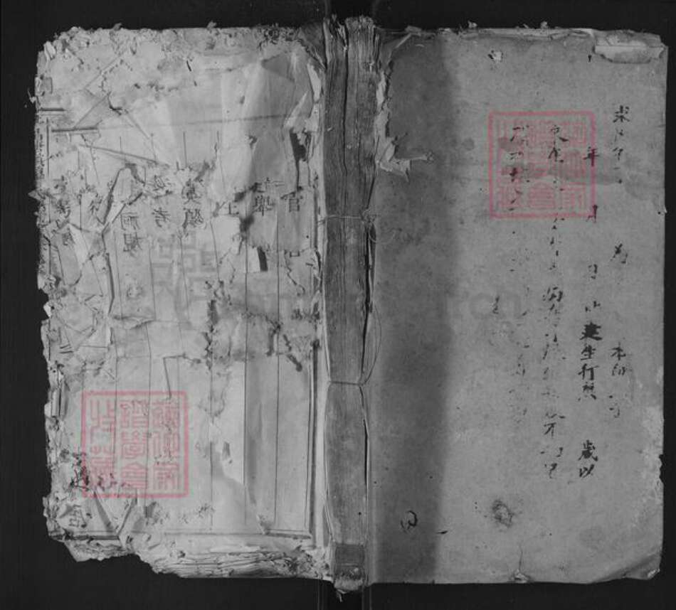 浙江省丽水市遂昌县金竹傅氏族谱-平昌城领头傅氏族谱.pdf电子版缩略图