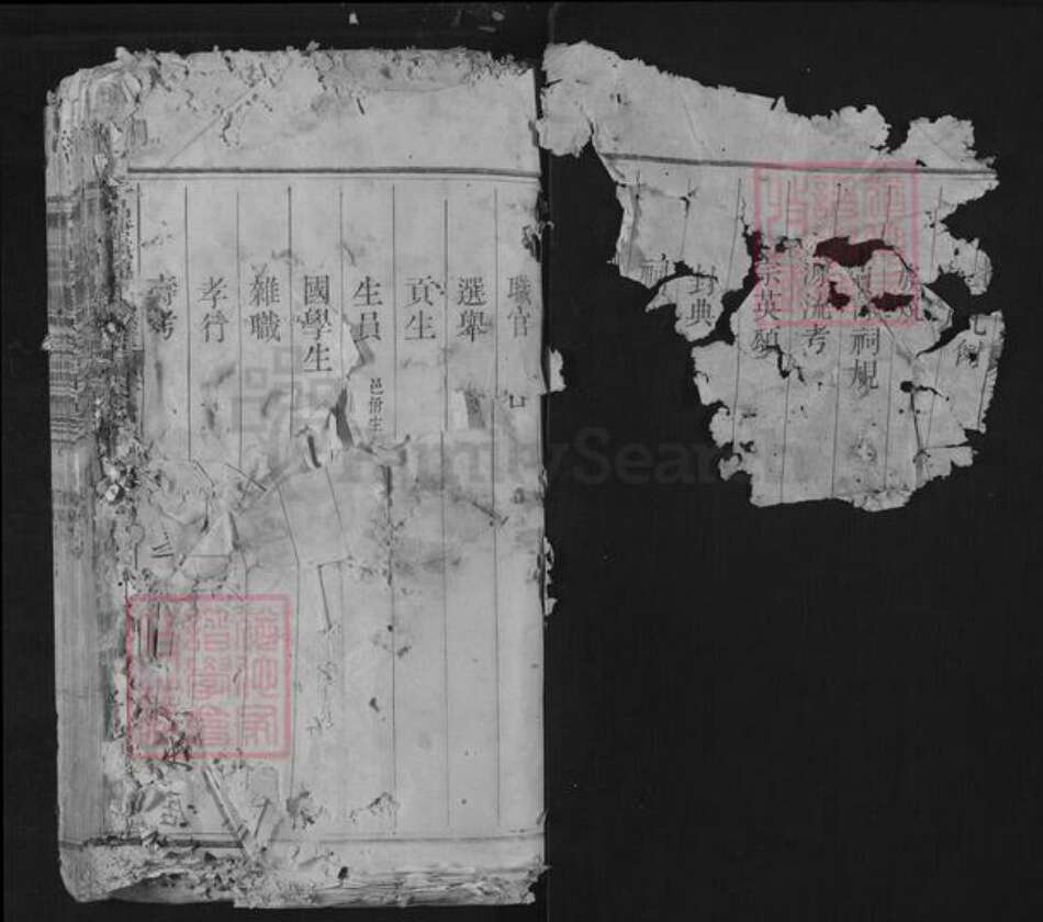 浙江省丽水市遂昌县金竹傅氏族谱-平昌城领头傅氏族谱.pdf电子版预览图1