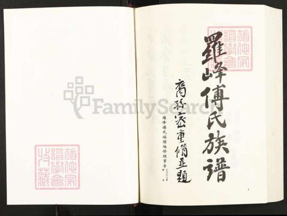 福建省莆田市仙游县赖店镇傅氏族谱-罗峰傅氏族谱.pdf电子版预览图1