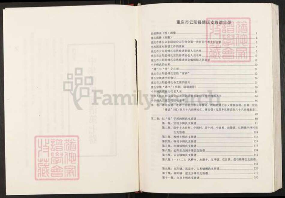 重庆市云阳县云阳镇傅氏清河堂族谱-中华傅氏通谱第七卷.重庆市云阳县支族谱.pdf电子版预览图2