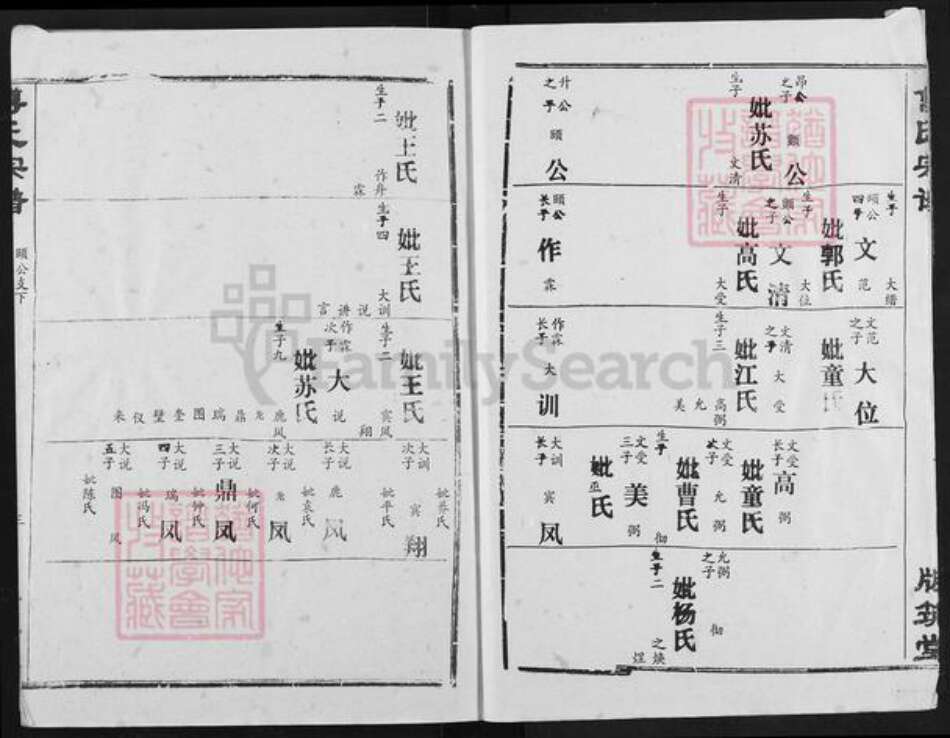 湖北省荆州市江陵县傅氏版筑堂族谱-傅氏宗谱.pdf电子版预览图3