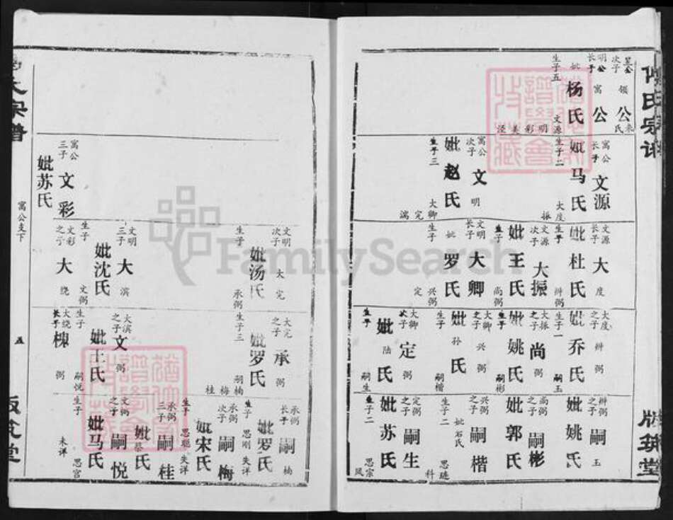 湖北省荆州市江陵县傅氏版筑堂族谱-傅氏宗谱.pdf电子版预览图5