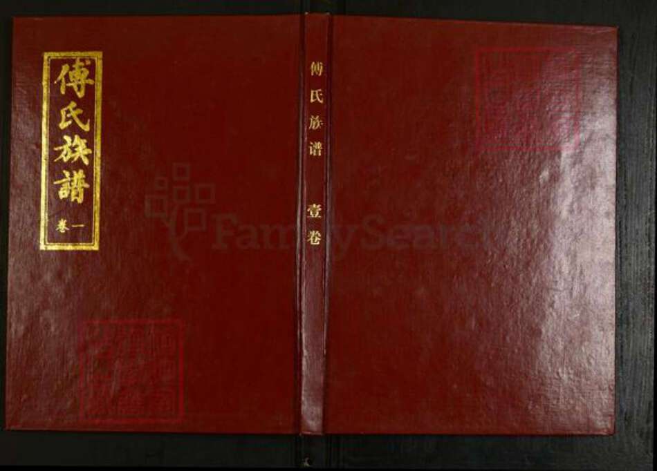 山东省淄博市桓台县傅氏族谱-傅氏族谱.pdf电子版缩略图