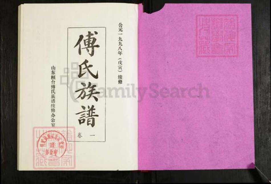 山东省淄博市桓台县傅氏族谱-傅氏族谱.pdf电子版预览图1