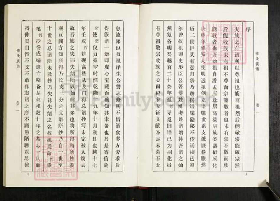 山东省淄博市桓台县傅氏族谱-傅氏族谱.pdf电子版预览图5