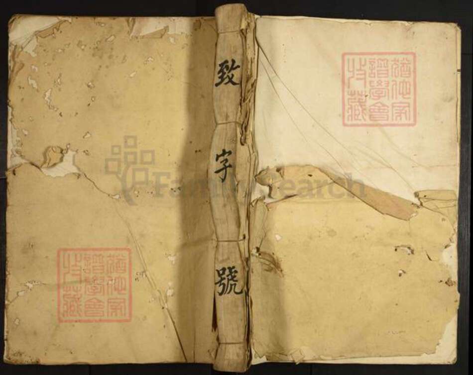 江西省吉安市青原区江西省九江市傅氏族谱-庐陵湻化傅氏重修族谱.pdf电子版缩略图