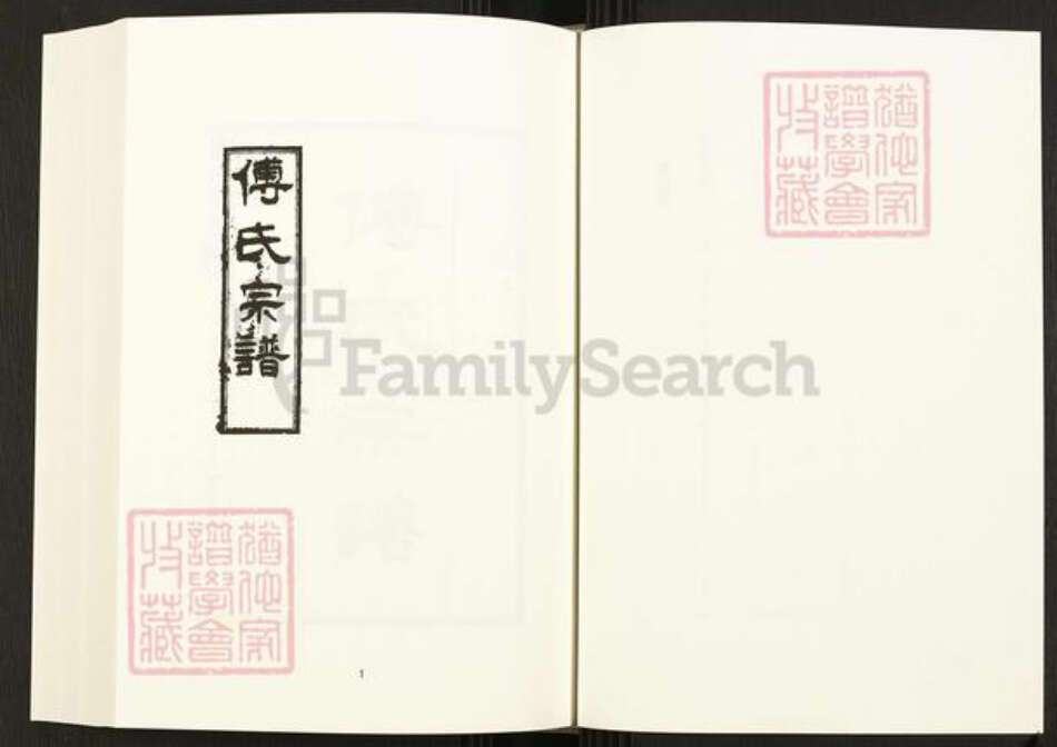 四川省四川省成都市金牛区天回镇街道傅氏族谱-中国珍稀家谱丛刊.四川家谱.第4~6册.傅氏宗谱.pdf电子版预览图3