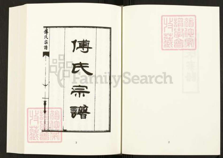 四川省四川省成都市金牛区天回镇街道傅氏族谱-中国珍稀家谱丛刊.四川家谱.第4~6册.傅氏宗谱.pdf电子版预览图4