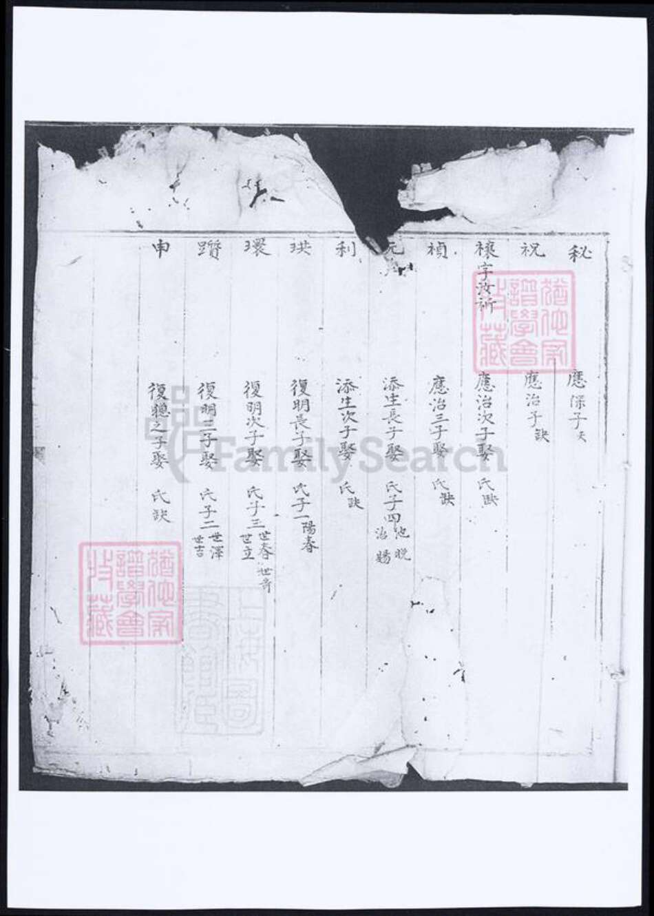 福建省泉州市傅氏族谱-武荣傅氏家谱.pdf电子版预览图1