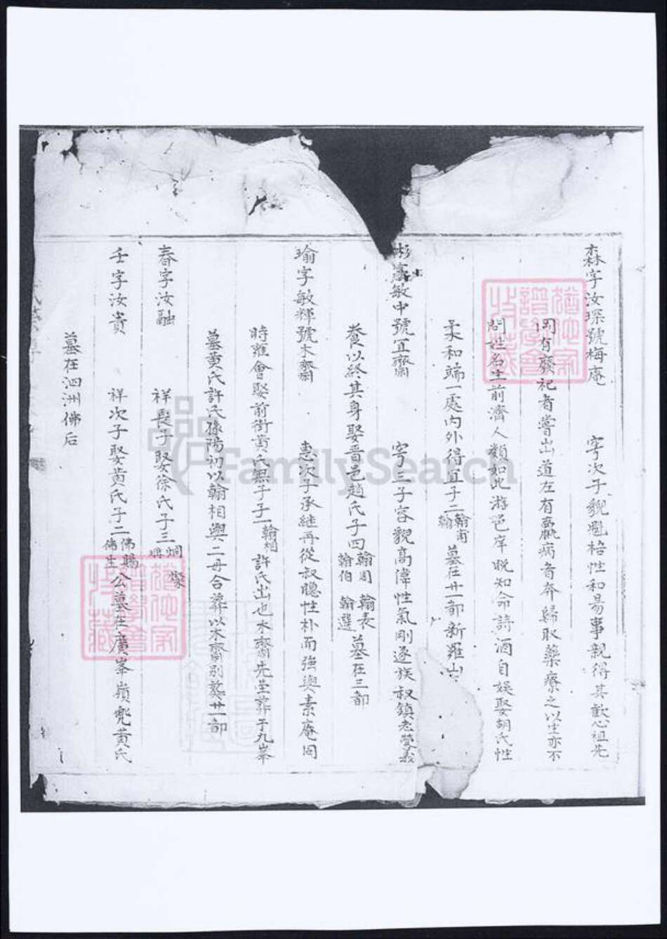 福建省泉州市傅氏族谱-武荣傅氏家谱.pdf电子版预览图3