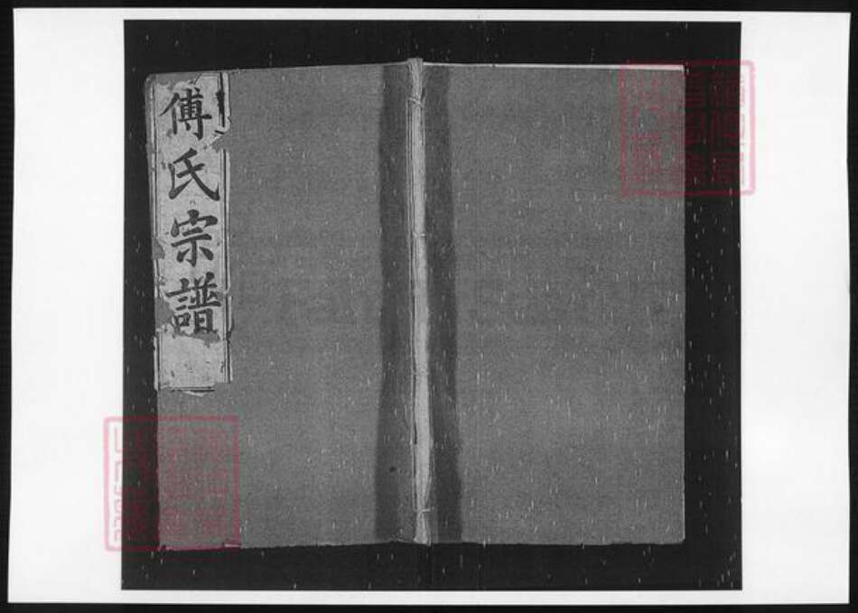 江西省傅氏族谱-傅氏族谱.pdf电子版缩略图