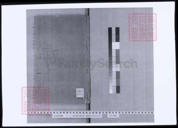 浙江省杭州市萧山区萧山傅氏族谱-萧山傅氏宗谱.pdf电子版预览图2