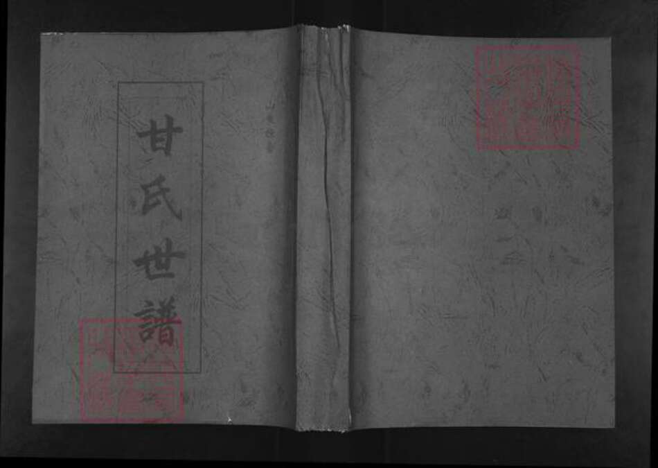 山东省淄博市桓台县新城镇甘氏族谱-甘氏世谱.pdf电子版缩略图