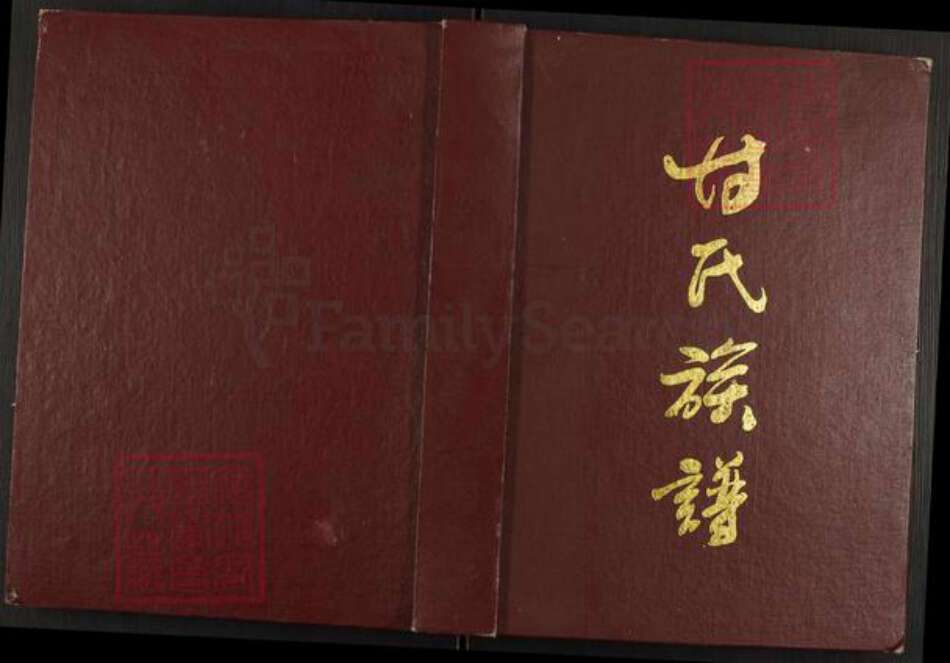 重庆市璧山区八塘镇甘氏族谱-甘氏族谱.pdf电子版缩略图