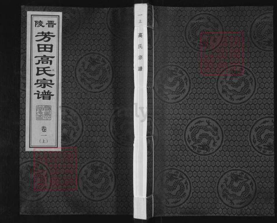 江苏省常州市武进县高氏守愚堂族谱-晋陵芳田高氏宗谱.pdf电子版缩略图