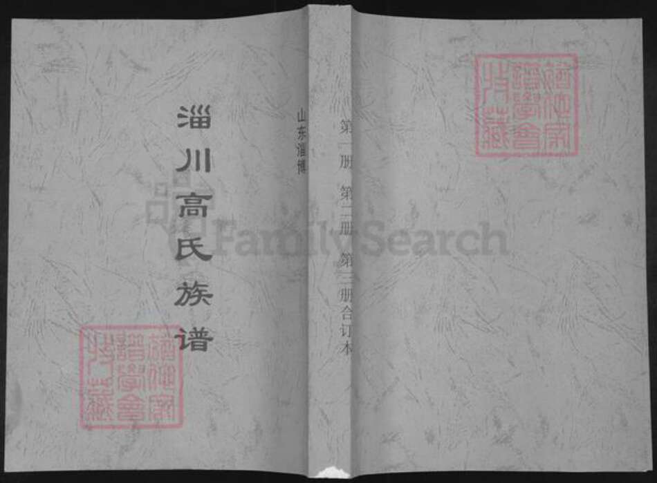 山东省淄博市淄川区高氏族谱-淄川高氏族谱.pdf电子版缩略图