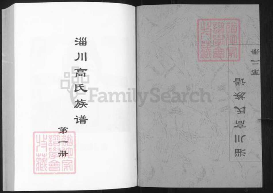 山东省淄博市淄川区高氏族谱-淄川高氏族谱.pdf电子版预览图1