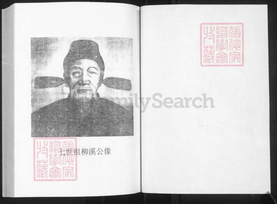 山东省淄博市淄川区高氏族谱-淄川高氏族谱.pdf电子版预览图2