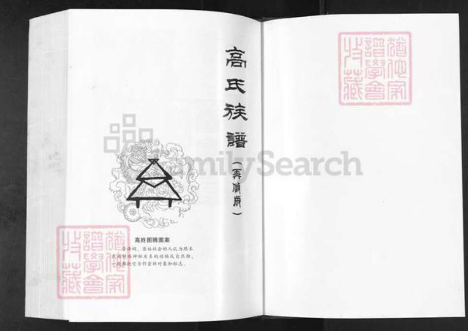 辽宁省营口盖州市盖州高氏族谱-高氏族谱.pdf电子版预览图1