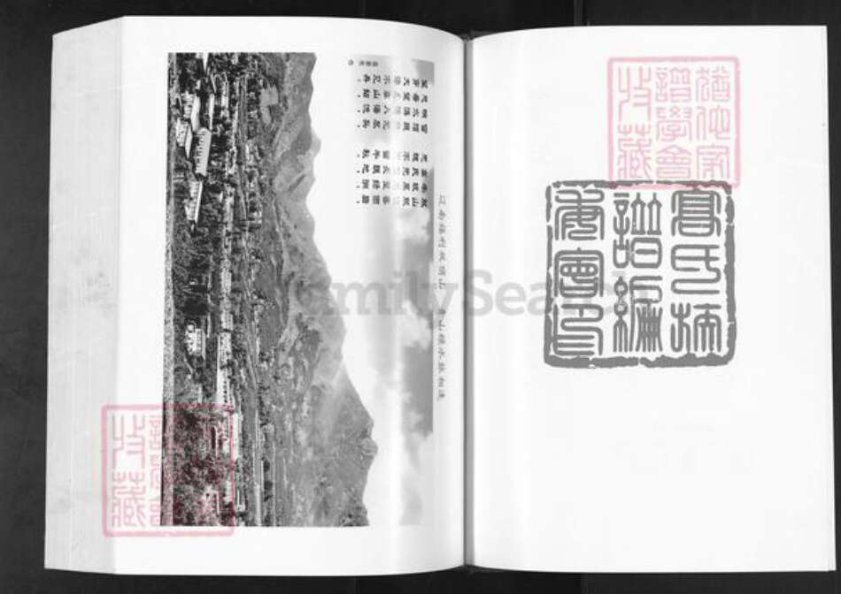 辽宁省营口盖州市盖州高氏族谱-高氏族谱.pdf电子版预览图2