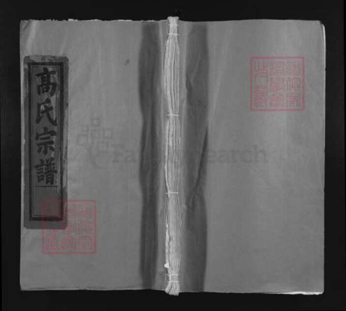 安徽省池州市东至县高氏金镜堂族谱-渤海高氏宗谱.pdf电子版缩略图