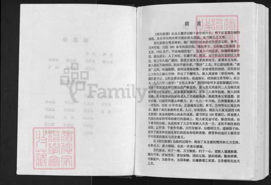 重庆市奉节县永安街道高氏族谱-高氏族云阳奉节谱.pdf电子版预览图2