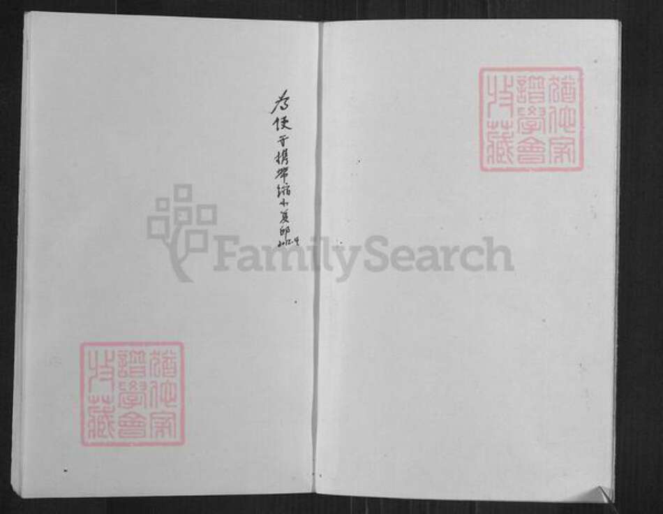 四川省内江市资中县银山镇高氏渤海堂族谱-高英始发公支系宗谱.pdf电子版预览图2