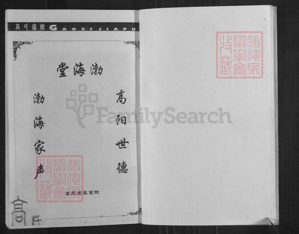 四川省内江市资中县银山镇高氏渤海堂族谱-高英始发公支系宗谱.pdf电子版预览图3