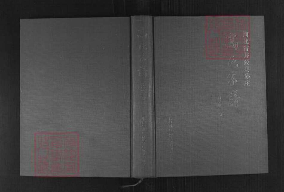河北省石家庄市井陉县孙庄乡高氏族谱-高氏家谱.pdf电子版缩略图