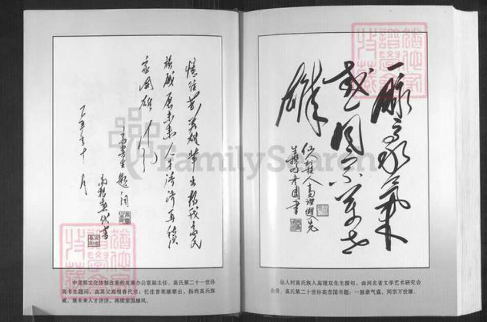 河北省石家庄市井陉县孙庄乡高氏族谱-高氏家谱.pdf电子版预览图4