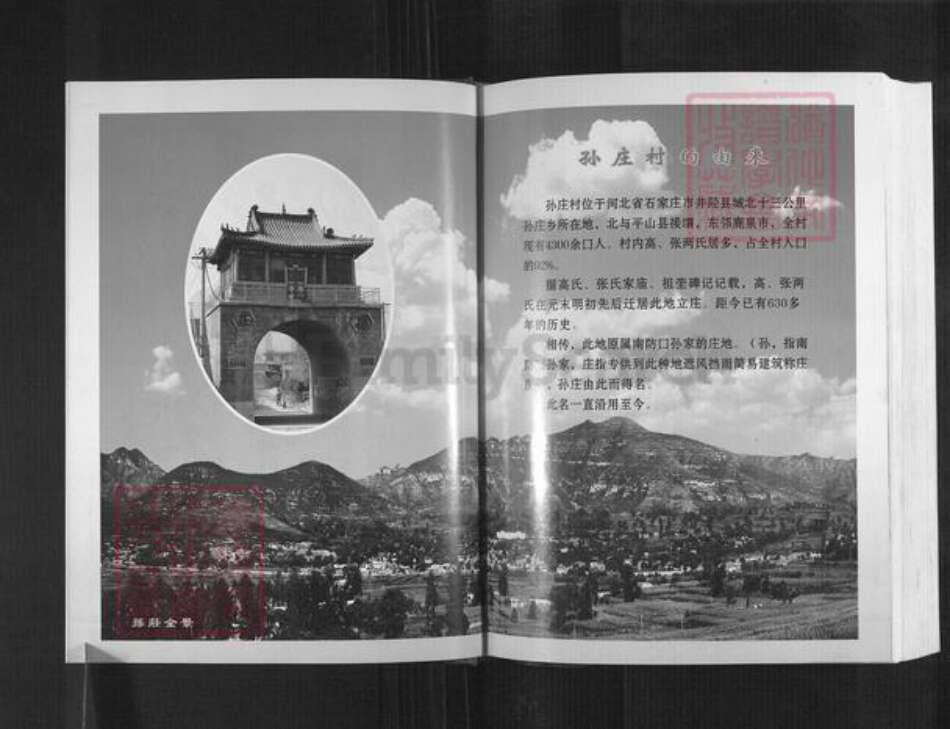 河北省石家庄市井陉县孙庄乡高氏族谱-高氏家谱.pdf电子版预览图5